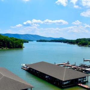 Photo #14 of 47 Spyglass Lane, Huddleston, VA 0.5 acres