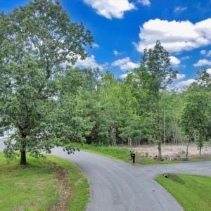 Photo #11 of 47 Spyglass Lane, Huddleston, VA 0.5 acres