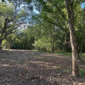 Photo #4 of Mountain Coleman Road, Appomattox, VA 112.8 acres