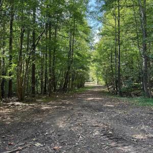 Photo #17 of Mountain Coleman Road, Appomattox, VA 112.8 acres