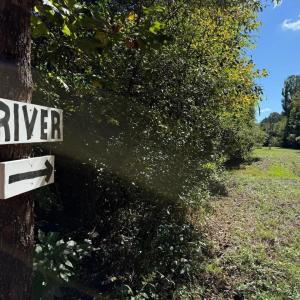 Photo #18 of Mountain Coleman Road, Appomattox, VA 112.8 acres