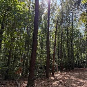 Photo #3 of Mountain Coleman Road, Appomattox, VA 112.8 acres
