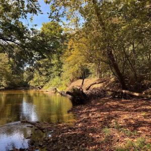 Photo #10 of Mountain Coleman Road, Appomattox, VA 112.8 acres