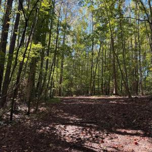 Photo #9 of Mountain Coleman Road, Appomattox, VA 112.8 acres