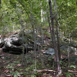 Photo #6 of Mountain Coleman Road, Appomattox, VA 112.8 acres