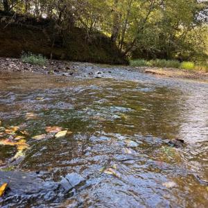Photo #11 of Mountain Coleman Road, Appomattox, VA 112.8 acres