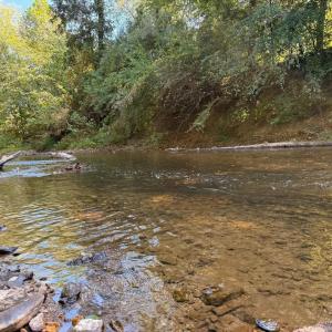 Photo #1 of Mountain Coleman Road, Appomattox, VA 112.8 acres