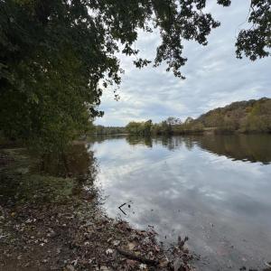 Photo #3 of Chase Trail Lane, Gladstone, VA 23.8 acres