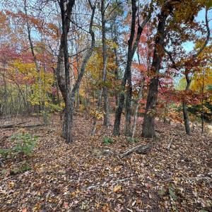 Photo #6 of Chase Trail Lane, Gladstone, VA 23.8 acres