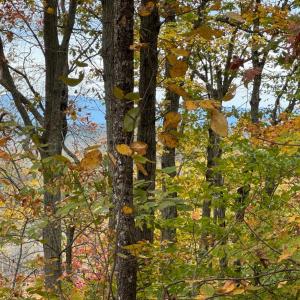 Photo #2 of Chase Trail Lane, Gladstone, VA 23.8 acres