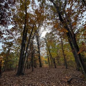 Photo #11 of Chase Trail Lane, Gladstone, VA 23.8 acres