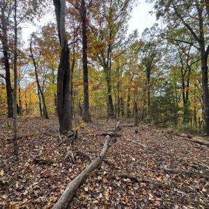 Photo #10 of Chase Trail Lane, Gladstone, VA 23.8 acres