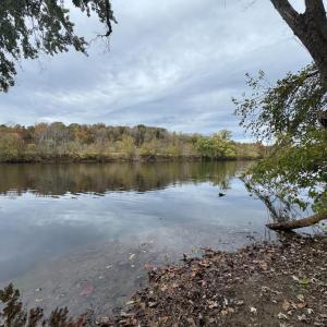 Photo #1 of Chase Trail Lane, Gladstone, VA 23.8 acres