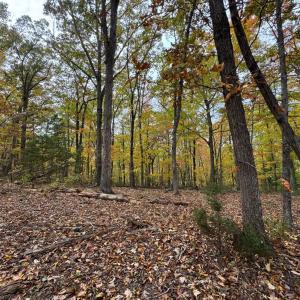 Photo #9 of Chase Trail Lane, Gladstone, VA 23.8 acres