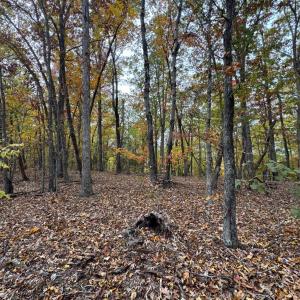 Photo #7 of Chase Trail Lane, Gladstone, VA 23.8 acres