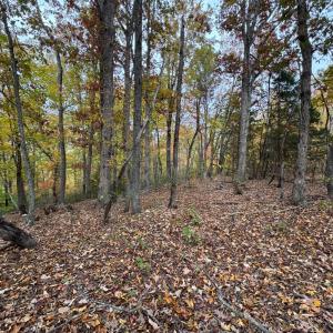 Photo #8 of Chase Trail Lane, Gladstone, VA 23.8 acres