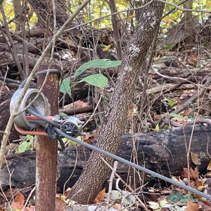 Photo #8 of Hunting Creek Road, Big Island, VA 6.1 acres