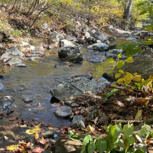 Photo #3 of Hunting Creek Road, Big Island, VA 6.1 acres