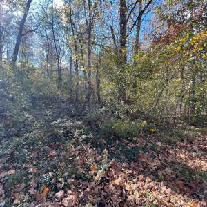 Photo #4 of Hunting Creek Road, Big Island, VA 6.1 acres