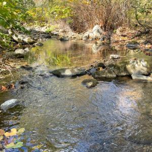 Photo #1 of Hunting Creek Road, Big Island, VA 6.1 acres