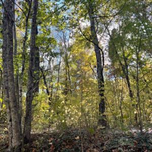 Photo #17 of Hunting Creek Road, Big Island, VA 6.1 acres