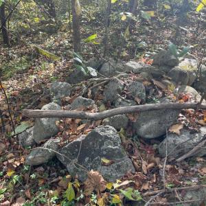 Photo #15 of Hunting Creek Road, Big Island, VA 6.1 acres