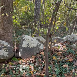 Photo #6 of Hunting Creek Road, Big Island, VA 6.1 acres