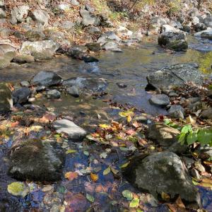 Photo #2 of Hunting Creek Road, Big Island, VA 6.1 acres