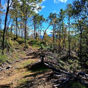 Photo #4 of Mount Horeb Road, Amherst, VA 60.6 acres