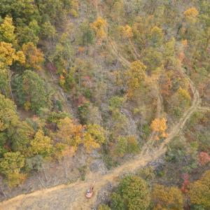 Photo #24 of Mount Horeb Road, Amherst, VA 60.6 acres