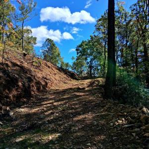 Photo #20 of Mount Horeb Road, Amherst, VA 60.6 acres