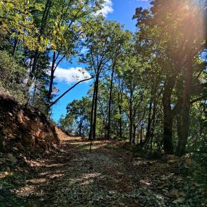 Photo #1 of Mount Horeb Road, Amherst, VA 60.6 acres