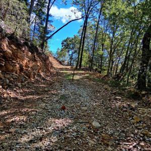 Photo #21 of Mount Horeb Road, Amherst, VA 60.6 acres