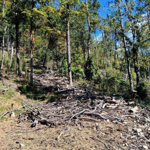 Photo #5 of Mount Horeb Road, Amherst, VA 60.6 acres