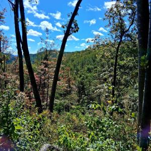 Photo #6 of Mount Horeb Road, Amherst, VA 60.6 acres