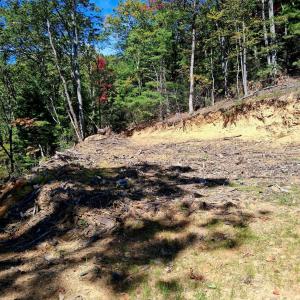 Photo #17 of Mount Horeb Road, Amherst, VA 60.6 acres