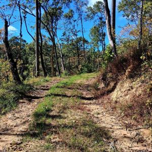 Photo #10 of Mount Horeb Road, Amherst, VA 60.6 acres