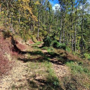 Photo #11 of Mount Horeb Road, Amherst, VA 60.6 acres