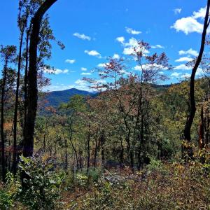 Photo #9 of Mount Horeb Road, Amherst, VA 60.6 acres
