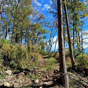 Photo #14 of Mount Horeb Road, Amherst, VA 60.6 acres