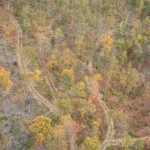 Photo #3 of Mount Horeb Road, Amherst, VA 60.6 acres