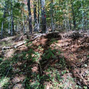 Photo #23 of Mount Horeb Road, Amherst, VA 60.6 acres