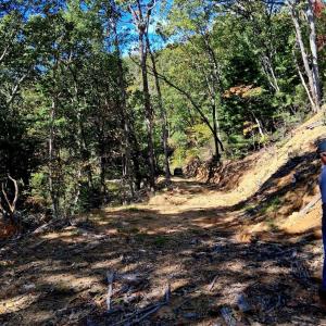 Photo #18 of Mount Horeb Road, Amherst, VA 60.6 acres