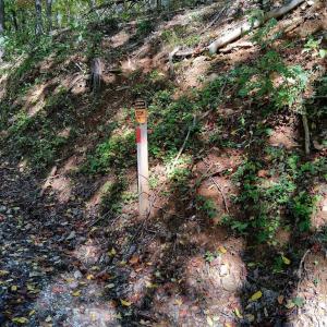 Photo #22 of Mount Horeb Road, Amherst, VA 60.6 acres