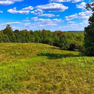 Photo #9 of L P BAILEY MEMORIAL Highway, Nathalie, VA 6.5 acres