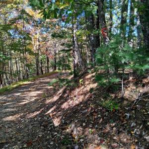 Photo #3 of North Fork Road, Amherst, VA 43.1 acres