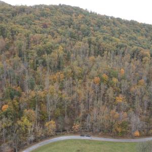 Photo #5 of North Fork, Amherst, VA 37.9 acres