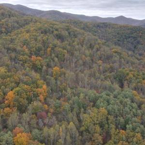 Photo #4 of North Fork, Amherst, VA 37.9 acres