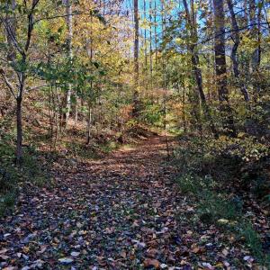 Photo #13 of North Fork, Amherst, VA 92.3 acres