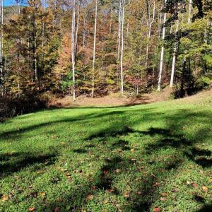 Photo #20 of North Fork, Amherst, VA 92.3 acres